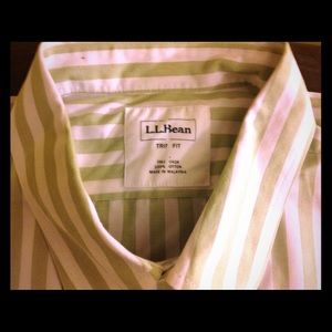 L.L. BEAN LIME GREEN &WHITE STRIPE SHIRT L